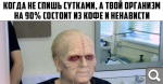 Показать в полный размер