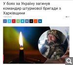 Показать в полный размер