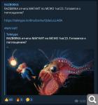 Показать в полный размер
