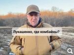 Показать в полный размер