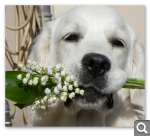 Показать в полный размер