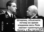 Показать в полный размер