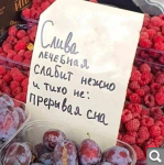 Показать в полный размер
