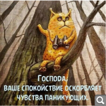 Показать в полный размер
