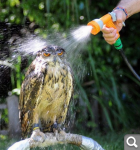 Показать в полный размер