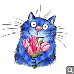 Показать в полный размер