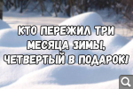 Показать в полный размер