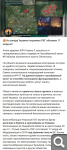 Показать в полный размер