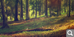 0e60daa320a743703976b50fc1f53016.png