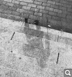 Показать в полный размер