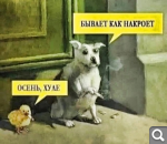 Показать в полный размер