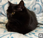 Показать в полный размер