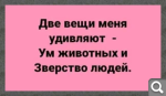 Показать в полный размер