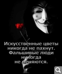 Показать в полный размер