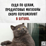 Показать в полный размер