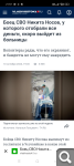 Показать в полный размер