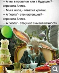 Показать в полный размер