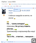 Показать в полный размер