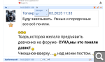 Показать в полный размер