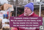 Показать в полный размер