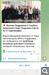 Показать в полный размер