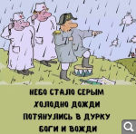 Показать в полный размер