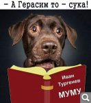 Показать в полный размер