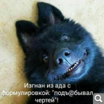 Показать в полный размер