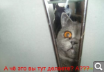 Показать в полный размер