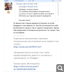 Показать в полный размер