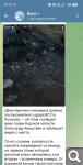 Показать в полный размер