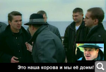 Показать в полный размер