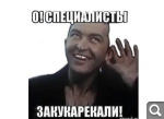 Показать в полный размер