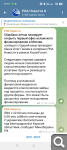 Показать в полный размер