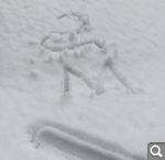 Показать в полный размер