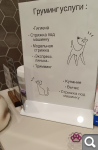 Показать в полный размер