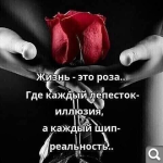 Показать в полный размер