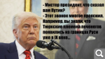 Показать в полный размер