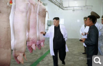 Показать в полный размер