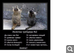 Показать в полный размер