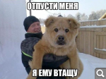 Показать в полный размер