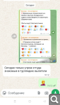 Показать в полный размер