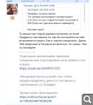 Показать в полный размер