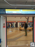 Показать в полный размер