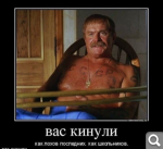 Показать в полный размер