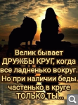 Показать в полный размер