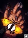 https://s1.hostingkartinok.com/uploads/thumbs/2025/06/817d629a2bf355dd16038f532feed1c3.png