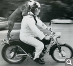 Показать в полный размер