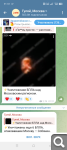 Показать в полный размер