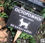 Показать в полный размер